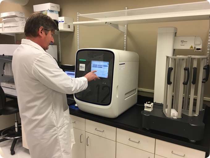 QuantStudio Real-Time PCR system
