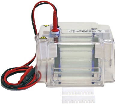MGV-402 Dual Vertical Mini-Gel Electrophoresis System from CBS scientific
