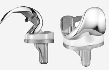 Lospa Knee System from Corentec