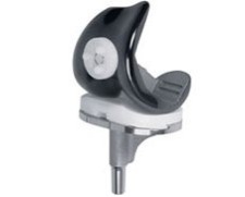 LEGION Total Knee System from Smith & Nephew