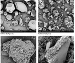 Analysis of Pharmaceutical Particles Using Phenom desktop Scanning Electron Microscope