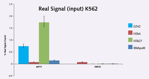 Figure 5. Detected precipitation of low abundance EZH2 at the MYT1 locus; the % real signal (input) values are extremely low on the negative gene ZNF333 as expected.