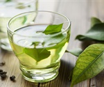 Green tea extract has potential as an anti-cancer agent