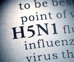Inevitable that H5N1 avian influenza viruses will be detected in pigs
