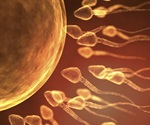 Novel technique analyzes sperm morphology and motility in embryo formation process