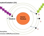 Using Eppendorf BioSpectrometer® Fluorescence for Nucleic Acid Concentration Measurements