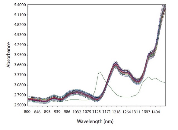 Raw spectra of calibration samples with spectrum of pure CPM