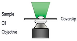 Widefield Microscopy