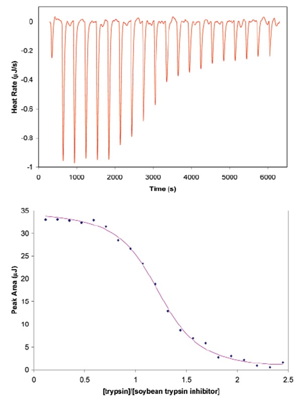 Titration of porcine pancreatic trypsin into soybean trypsin inhibitor using a CSC model 5300 ITC-iil. Both proteins were dialyzed at 4°C against 25mM potassium acetate pH 4.5 buffer containing 10mM calcium chloride. Soybean trypsin inhibitor (2.1µM) was loaded in the 1.0mL sample cell and trypsin (440µM) was loaded in the 100µL syringe. Twenty, 5µL aliquots of ligand were titrated into the sample cell while the temperature of the system was maintained at 25°C. Top panel: The signal (heat) produced following each addition of protein to the inhibitor. Bottom panel: Integration of the heats over the time course of the experiment; the µJ in each peak are plotted against the mole ratio of the titrant (trypsin) to inhibitor (soybean trypsin inhibitor). The inhibitor was placed in the sample cell rather than the syringe due to its low solubility. Ka of binding: 1.4 x 1O7; stoichiometry: 1.15; enthalpy of binding: 135KJ mol-1.