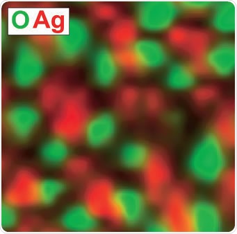 An overlay of the quantified Ag 3d and O 1s images from the same area as that shown in Figure 2