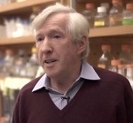 The Dark Proteome - NMR in Disease Research