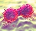Novel immunotherapy targeting pancreatic cancer shows promising results in phase 1/2 trial