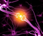 Scientists discover rapid synapse adaptation in neuronal communication