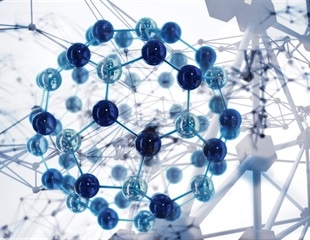 Exploring the role of immune checkpoints IDO1 and PDL1 in Cutaneous Leishmaniasis (CL)