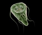 Giardiasis Intestinal Infection