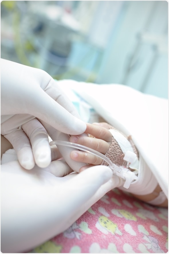 Image Copyright: sfam_photo / Shutterstock