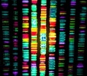 Refined DNA sequencing tool reveals hidden mutations behind aging and cancer