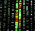 Refined DNA sequencing tool reveals hidden mutations behind aging and cancer