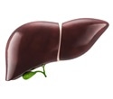 Nicotinic acid protects the liver from ischemia-reperfusion injury
