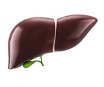 Fatty diets reprogram hepatocytes and increase liver cancer risk