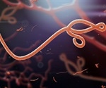 Research describes blood disorders and their impact on Ebola patient outcomes