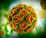 HPV and Warts