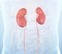 Stem cell treatment could help millions of people with end-stage kidney disease