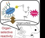 New approach could make organometallic catalysis applicable for therapy or diagnostics