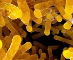 Human Microbiome