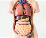 Mesentery: a new organ?