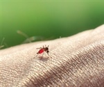 WHO drive for increased efforts to prevent malaria