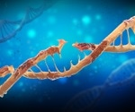 TRF2 and POT1 proteins found on telomeres control DNA damage response pathways