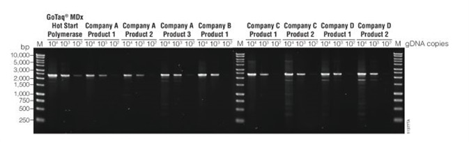 Compatibility with multiplex PCR