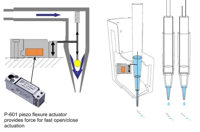 Principle design of a high-speed precision dosing valve for micro-liter to picoliter applications. Piezo mechanics are stiffer and can move faster than solenoids. Piezo flexure amplified actuators provide motion ranges of several 100µm and extremely fast mechanical response to drive signal changes in the order of milliseconds and below. The high speed combined with the virtually unlimited position resolution in the nanometer range provides advantages in open/close speed of valves and also in the dosing precision