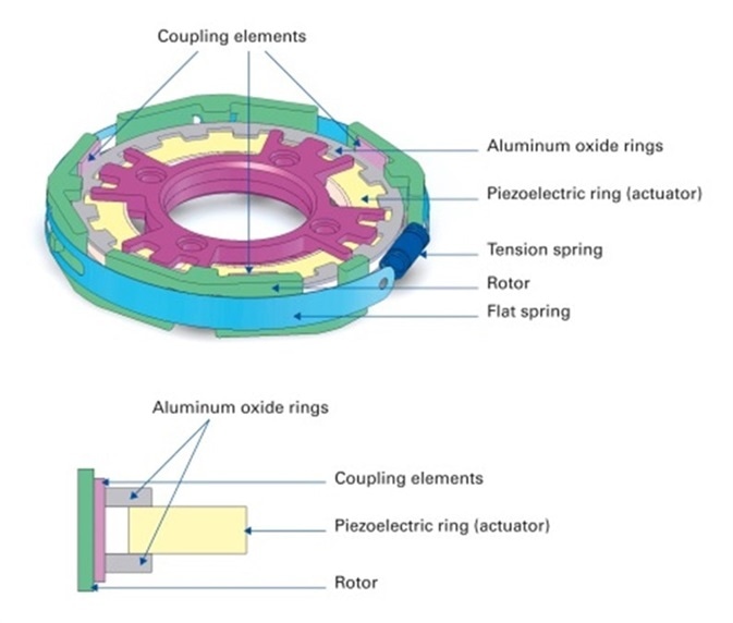 A compact piezoelectric ultrasonic rotary motor for variable drug delivery. The motor consists of a piezoelectric ring actuator excited with a travelling wave. Thin aluminum oxide rings (grey) on top and bottom of the piezo ring absorb the oscillations. With the help of the three coupling elements (pink) used in the rotor, the absorbed oscillations are transmitted to the pre-loaded rotor (green) and converted to a rotary motion