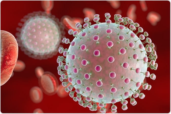 Illustration of Zika virus in blood with red blood cells, a virus which causes Zika fever. Image Credit: Kateryna Kon / Shutterstock