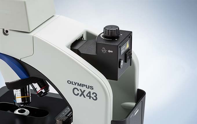 Simple Fluorescence Observation