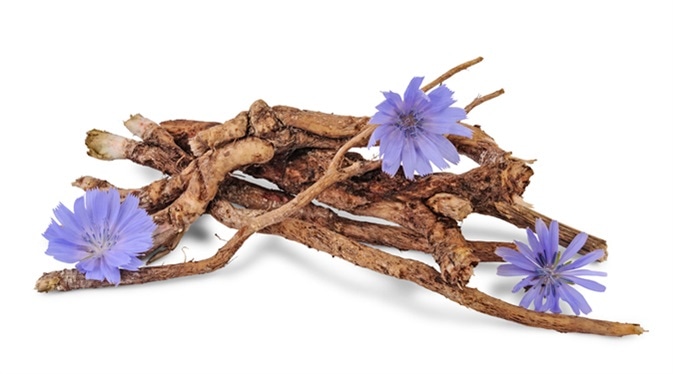 Dry roots of chicory and cichorium flowers. Image Credit: Nata Studio / Shutterstock