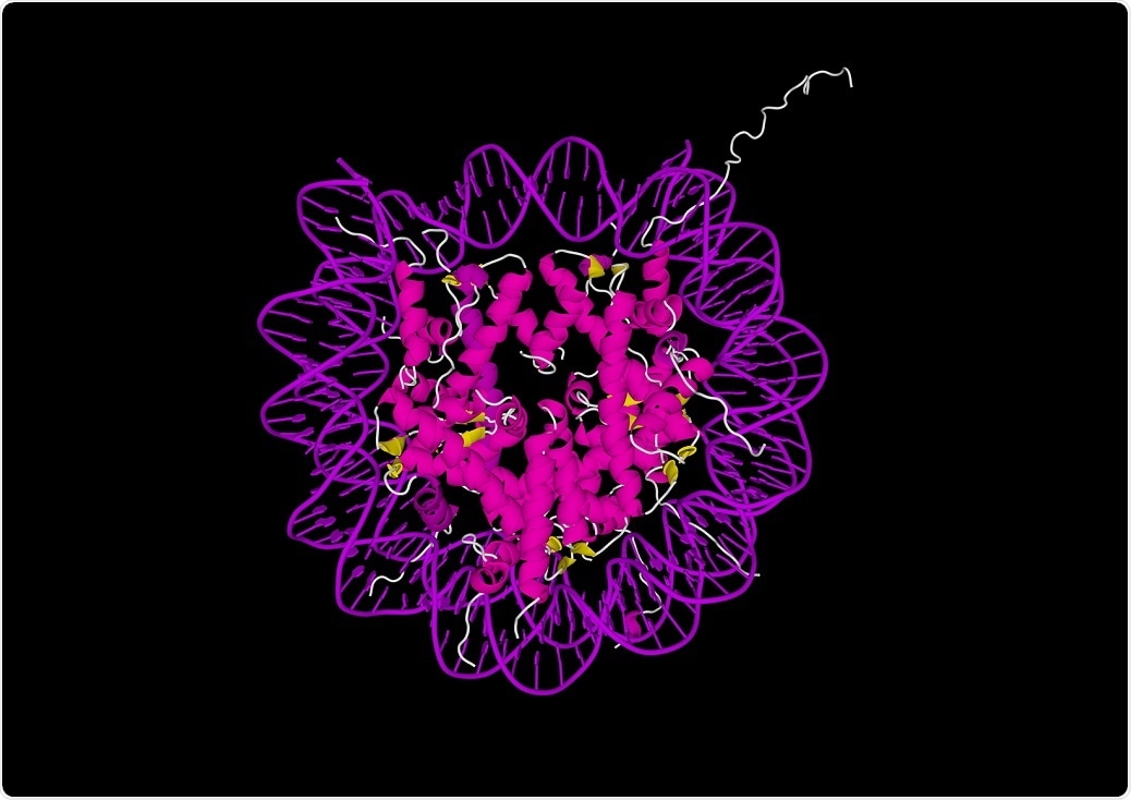 Nucleosome containing acetylated histones - By OMMB