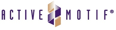 Active Motif