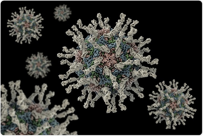 Human poliovirus computer model. Poliovirus infects children and causes poliomyelitis, a disease which in severe cases damages the nervous system, leading to paralysis or death. Image Credit: vitstudio / Shutterstock