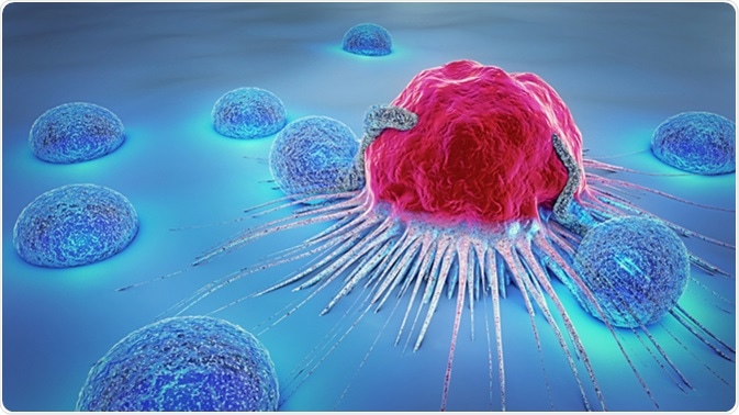 3d illustration of a cancer cell and lymphocyte. Image Credit: Christoph Burgstedt