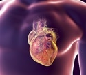 Imaging-enhanced knowledge graphs reveal new targets for heart disease treatment