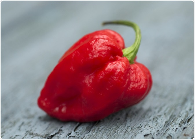 Carolina Reaper or HP22B Cilli Pepper is the world