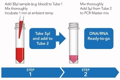 Rapid sample processing protocol. See ’Methods’ for further detail