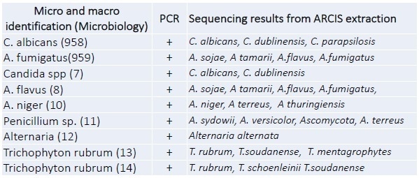 Sequencing analysis. All samples were processed rapidly and subjected to PCR and Pyrosequencing. All samples were PCR positive and correctly identified by sequencing analysis.