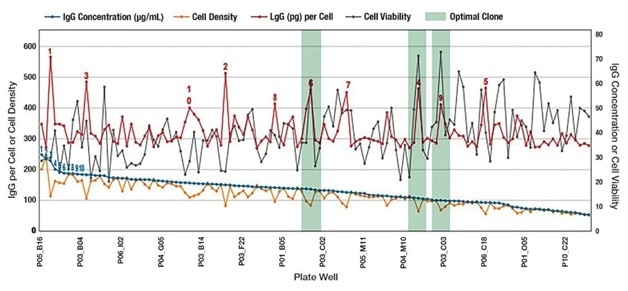 Example of simultaneously screening for IgG titer and cell health attributes. The blue line represents IgG concentration and clone ranking that would be typical of legacy technologies measuring only IgG titer such as ELISA or BLI. A more complete story —and the advantages of the Intellicyt integrated platform capability—is told in the additional data points relating to cell number and cell health. The red line is IgG quantitation per cell. The gray line demonstrates that while the IgG concentration declined there are still several very viable clones. The green shading shows clones that have high IgG titers on a per cell basis. These clones could be interesting candidates for downstream processing and would likely have been excluded based solely on ranking by IgG titer. By combining separate time-consuming steps in cell line screening processes, the Intellicyt platform saves time, while providing valuable information on clone productivity.