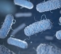 Study demonstrates significant changes in gut bacteria at the onset of IBD