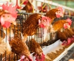 Japan injects funds into fight against Bird Flu