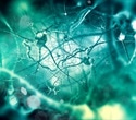 Breakthrough study identifies potential treatment for schizophrenia symptoms